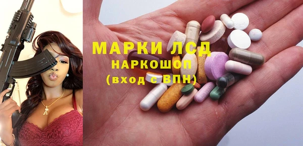 спайс Чита