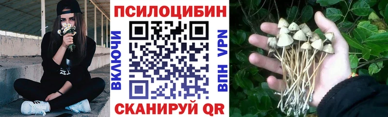Псилоцибиновые грибы GOLDEN TEACHER  цены   Агидель 